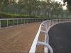 trainingtrack.jpg