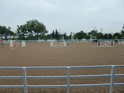 DSCF1249.JPG